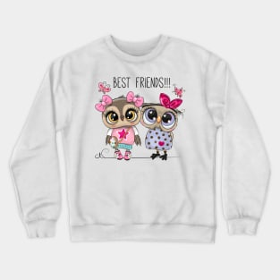 Two cute owl girlfriends in dresses. Crewneck Sweatshirt